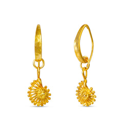 Ammonite - Shell Earrings Gold, Silver