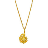 Ammonite - Shell Pendant Necklace Gold, Silver