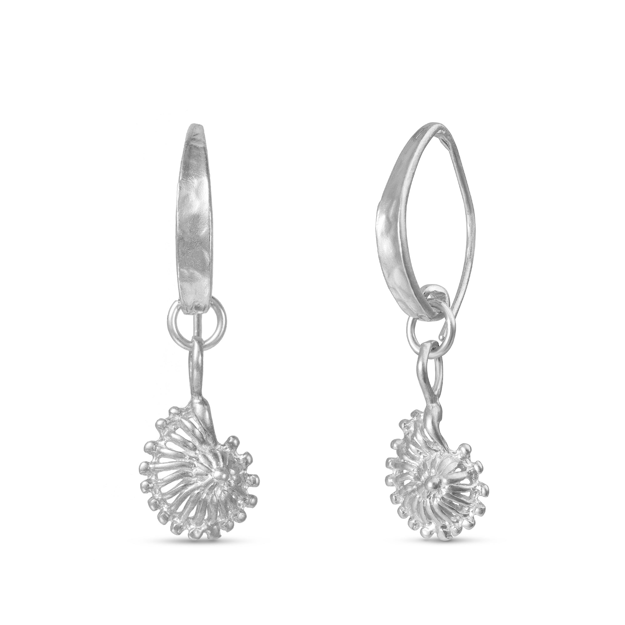 Ammonite - Shell Earrings Gold, Silver