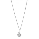 Ammonite - Shell Pendant Necklace Gold, Silver