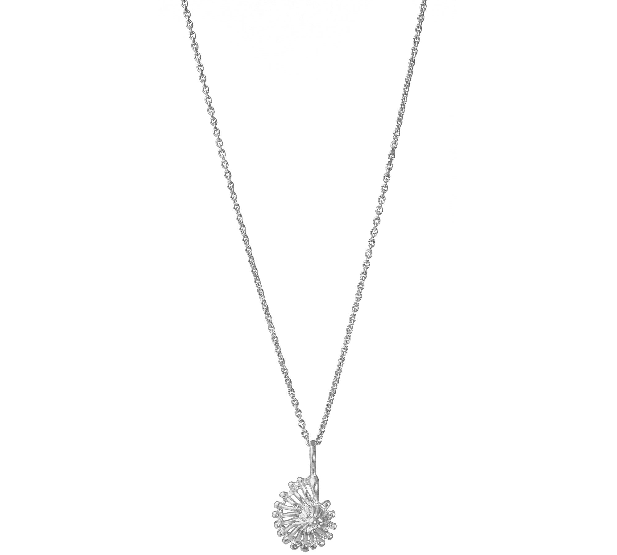 Ammonite - Shell Pendant Necklace Gold, Silver