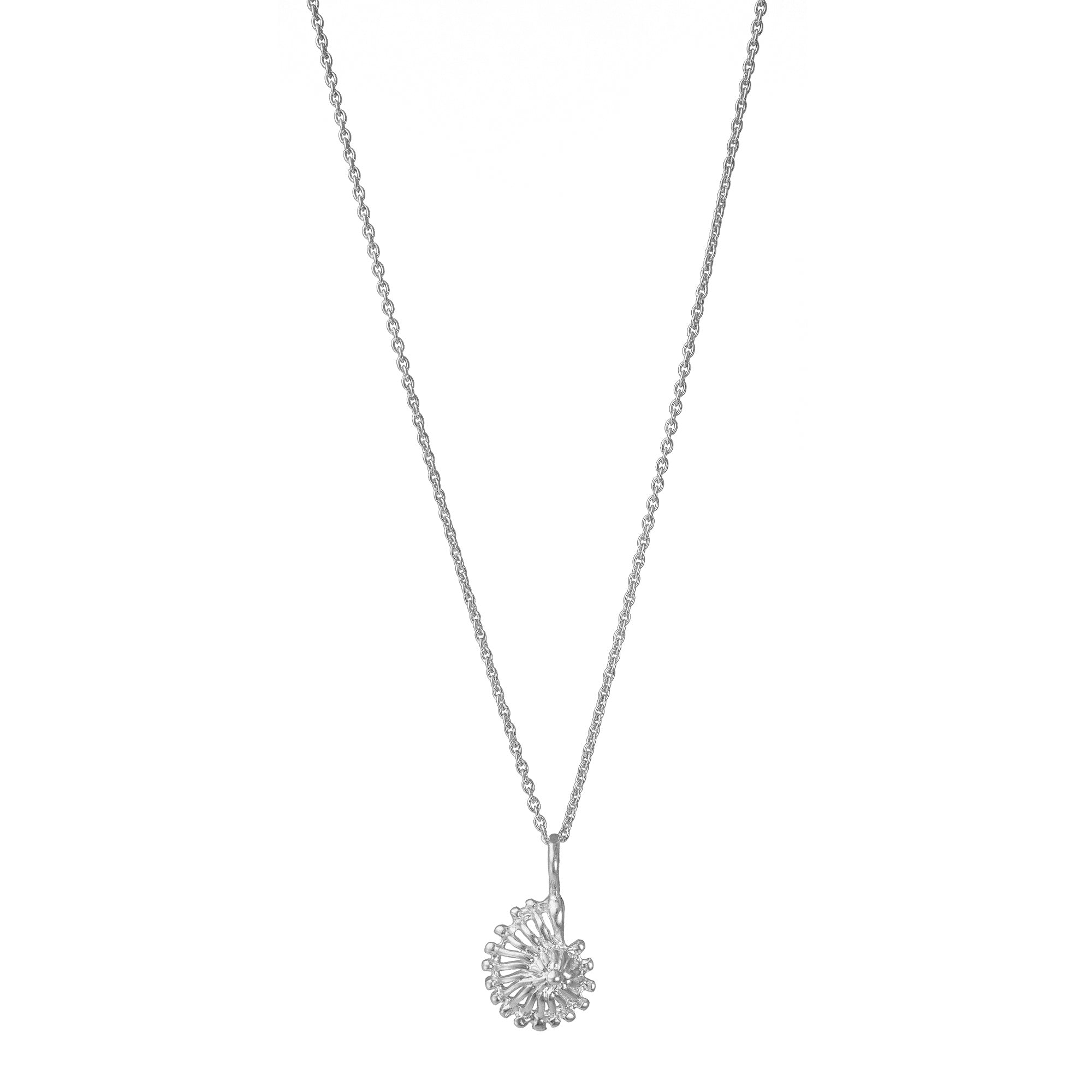 Ammonite - Shell Pendant Necklace Gold, Silver