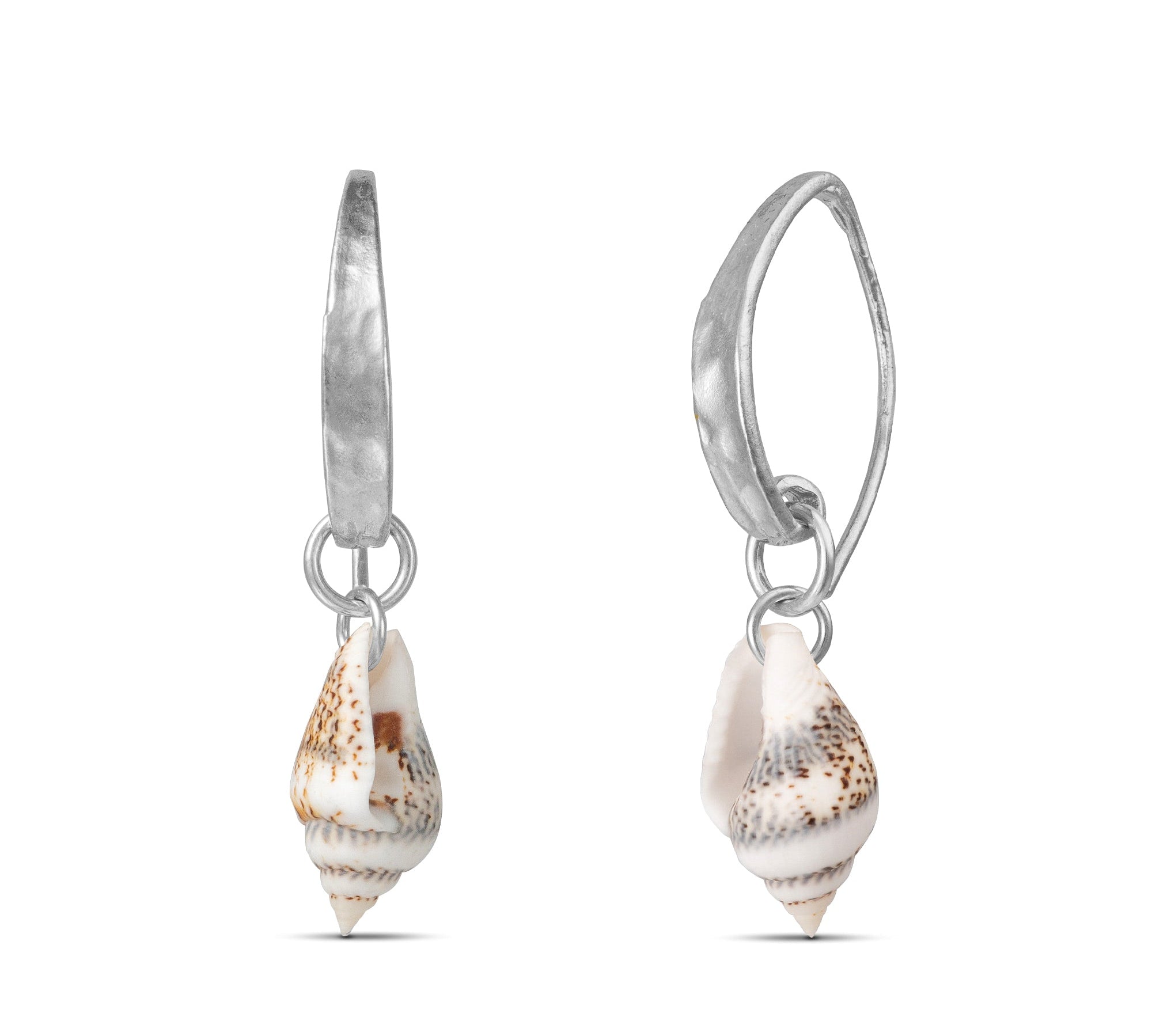 Concha - Tiger Shell Earrings Gold, Silver