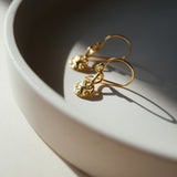 Sand Dollar Shell Earrings Gold, Silver