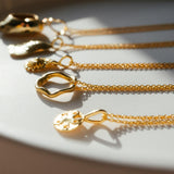 Sand Dollar Shell Necklace Gold, Silver