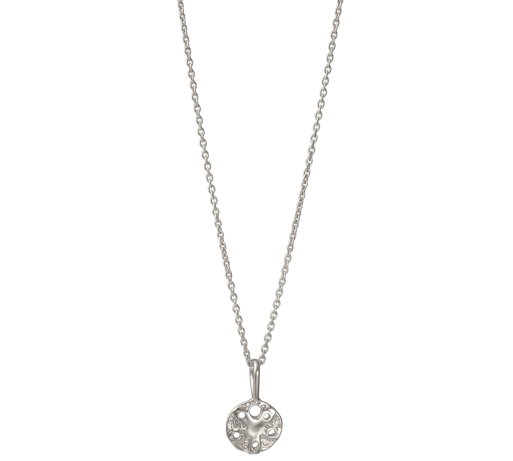 Sand Dollar Shell Necklace Gold, Silver