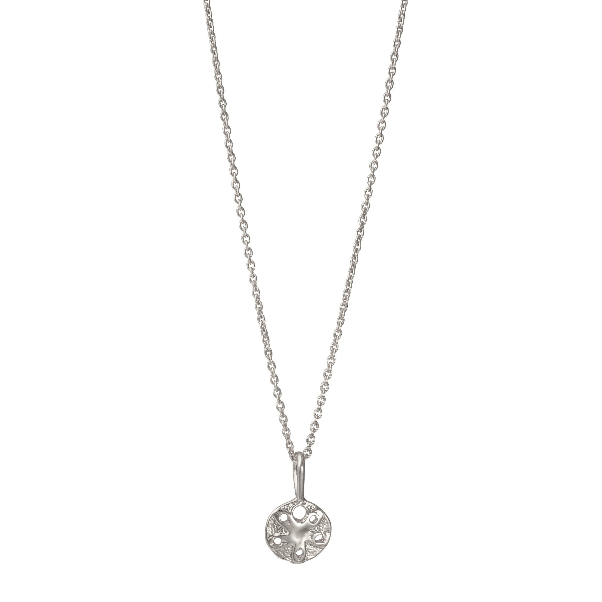 Sand Dollar Shell Necklace Gold, Silver