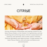 Citrine Raw Crystal Pendant Necklace - Solar Plexus Chakra